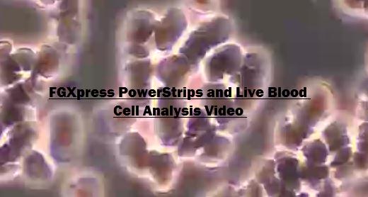 Live Blood Analysis confirms the effectiveness of FGX PowerStrips